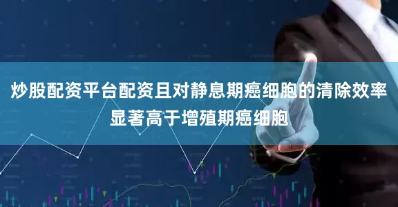 炒股配资平台配资且对静息期癌细胞的清除效率显著高于增殖期癌细胞