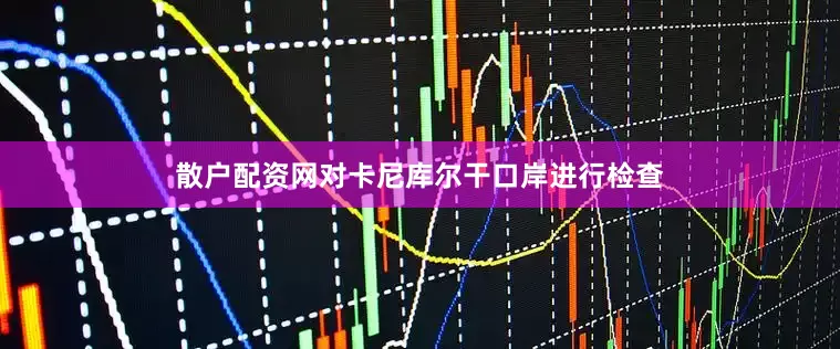 散户配资网对卡尼库尔干口岸进行检查