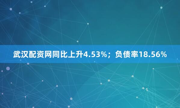 武汉配资网同比上升4.53%；负债率18.56%