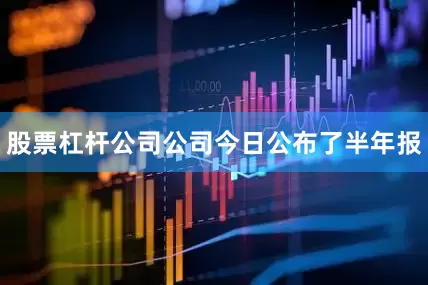 股票杠杆公司公司今日公布了半年报